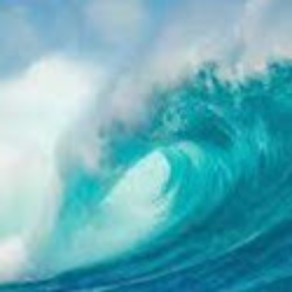 Meet your Posher, Sarae
